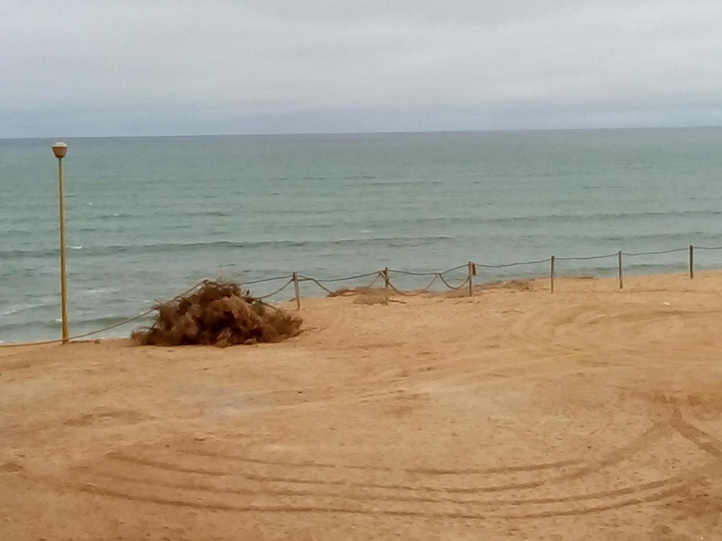 528503_Beachfront